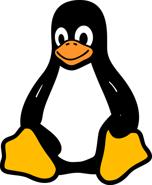 Linux Linux